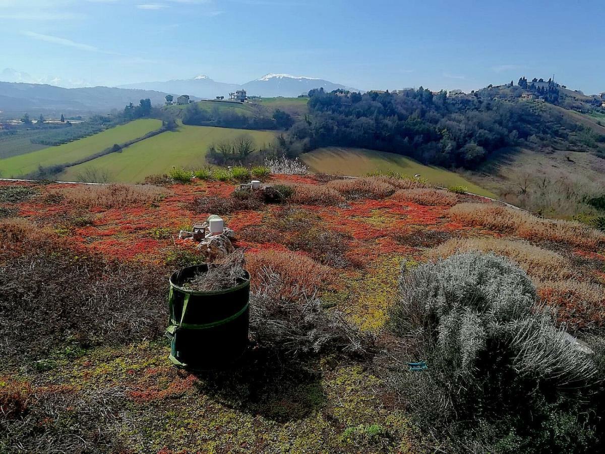 Bed and Breakfast La Tana Dei Leoni Monsampolo Del Tronto Exterior foto